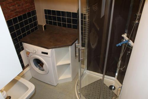 une salle de bain avec douche et machine à laver dans l'établissement maison des papillons, à Tourville-la-Chapelle