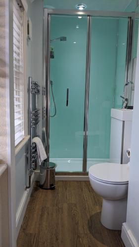 a bathroom with a glass shower and a toilet at Ebor Lodge in Eastbourne