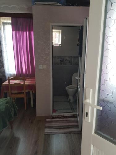 Habitación con baño con ducha y aseo. en Gios Guest House, en Chakvi