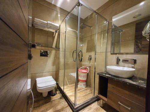 a bathroom with a shower and a toilet and a sink at Hotel Makhan Residency in Amritsar