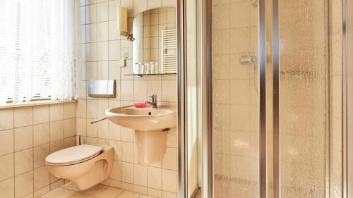 a bathroom with a toilet and a sink and a shower at Pension Grenzhof in Neuhausen