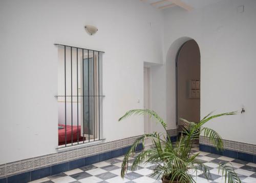 un pasillo con una ventana y una maceta en casa celia, en Cádiz