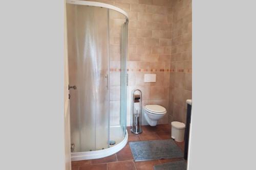 a bathroom with a shower and a toilet at Castle View Nest in Bled
