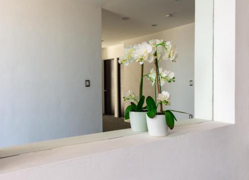 two white vases with flowers on a shelf in a room at Hotel México Inn Express in Salamanca
