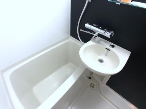ein Badezimmer mit einem Waschbecken und einer weißen Badewanne in der Unterkunft Toyama Town Hotel in Toyama