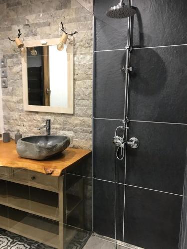 a bathroom with a sink and a shower at Ambiance petit chalet in La Salle Les Alpes