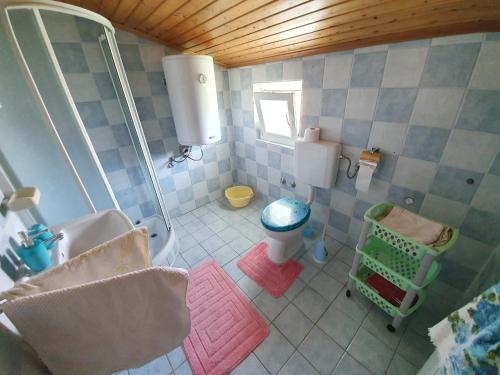 a small bathroom with a shower and a toilet at Apartment Dajana 4+2 in Čižići