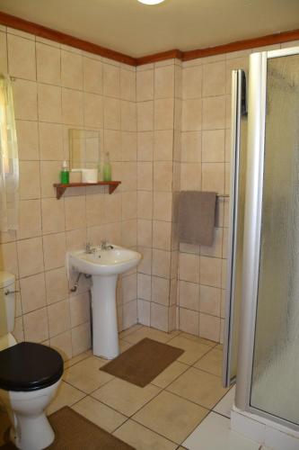 a bathroom with a sink and a toilet and a shower at Log Cabin & Settlers Village in Graskop