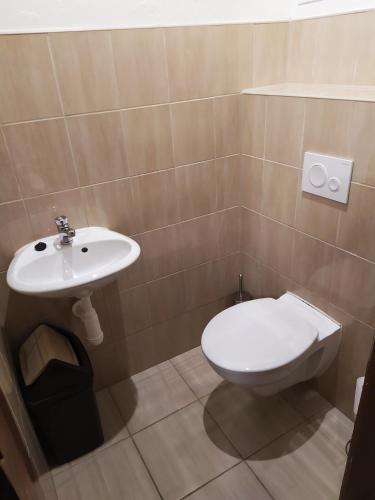 a bathroom with a toilet and a sink at Tourist room Maria in Ostrava