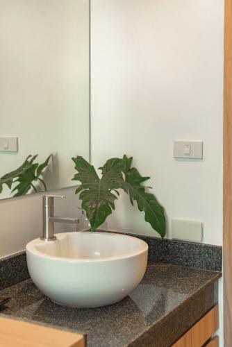 a bathroom sink with a plant on a counter at Nap in Chiangmai in Chiang Mai