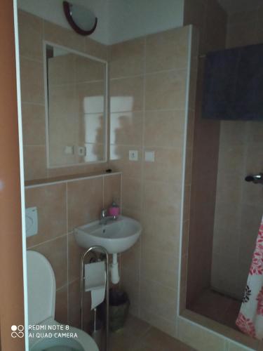 a small bathroom with a sink and a shower at Břeclav centrum - U Pražáka in Břeclav