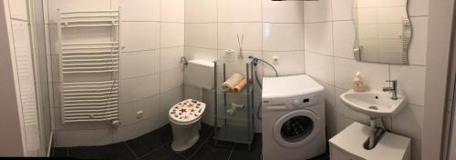 ウィーンにあるGreen apartmentのバスルーム(洗濯機、シンク付)