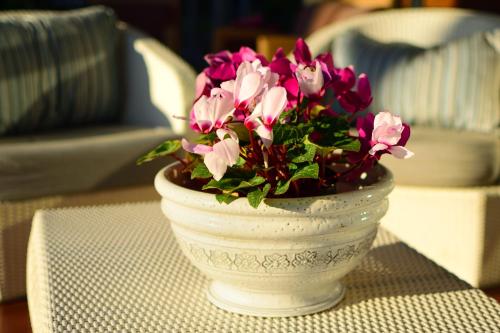 a white vase with pink flowers on a table at Hotel Marina in Marina di Massa