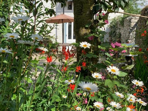 a garden with colorful flowers and an umbrella at Riverbank House Bed and Breakfast Innishannon in Inishannon