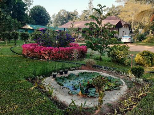 a garden with a pond in the middle of a yard at Edgestay in Mudigere