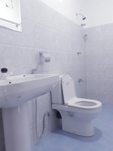 a white bathroom with a toilet and a sink at Radha Tourist Home in Polonnaruwa
