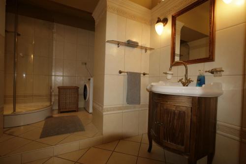 y baño con lavabo, ducha y espejo. en Apartment No 0A Anenska 13 - Stare Mesto, en Praga