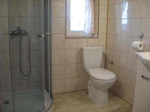 uma casa de banho com um WC, um chuveiro e um lavatório. em Gospodarstwo Agroturystyczne Handzlówka em Skawa