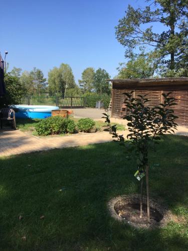 a small tree in a yard next to a pool at Helles Doppelzimmer im Untergeschoss mit Bad im Grünen nahe Potsdam in Michendorf
