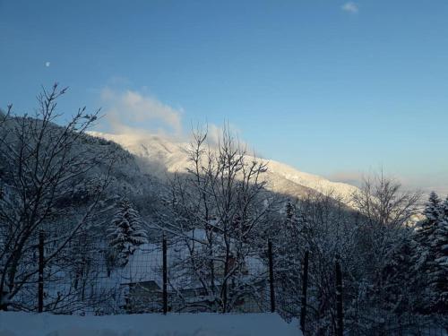 Albergo Capriolo – Photos 3