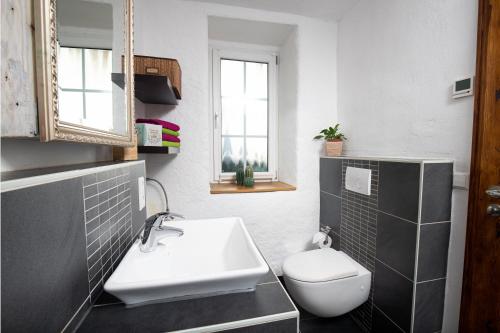ein Badezimmer mit Waschbecken, Toilette und Spiegel in der Unterkunft Am Lindenbaum in Friedrichshafen