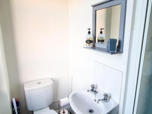 a bathroom with a toilet and a sink and a mirror at Charming Central Apartment with King Bed and Netflix in Cheltenham