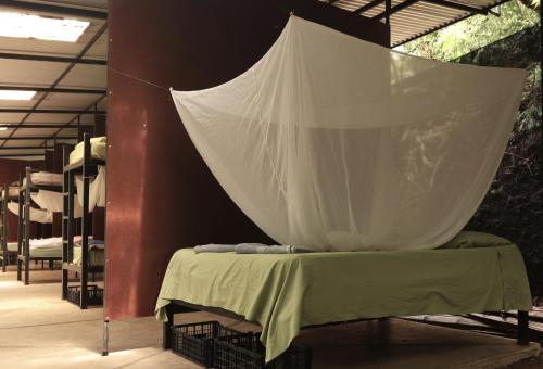 Ένα ή περισσότερα κρεβάτια σε δωμάτιο στο Bolita Trails and Lodging