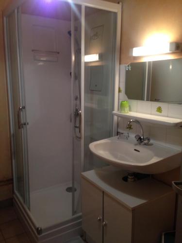 une salle de bain avec douche et lavabo dans l'établissement Résidence Les Plus Près, à Jonzac