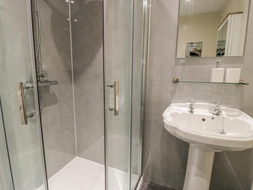 un baño con ducha y lavabo en Melin Newydd, en Llanfihangel-y-pennant