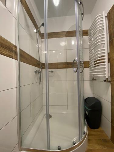 a shower with a glass door in a bathroom at Zajazd Tadeo in Pietrzykowice
