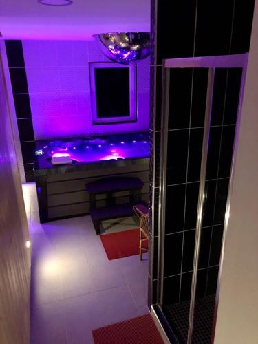 a purple room with a television and a bathroom at MAXMILLIAN Pension & Restaurant in Mařenice