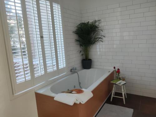 a bathroom with a bath tub with a potted plant at B&B Hart van Leiden in Leiden