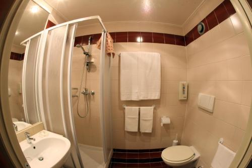 a bathroom with a shower and a toilet and a sink at Etoile Du Nord in Aosta