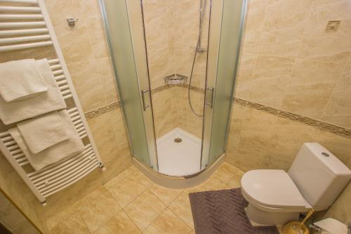 a bathroom with a shower and a toilet at Старий Тудорів in Fedorovka