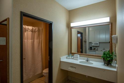 a bathroom with a sink and a mirror at Moncks Corner Inn in Moncks Corner