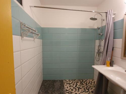 a bathroom with a shower and a sink at Douceur du Sud in Sainte-Anne