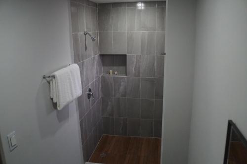 a bathroom with a shower with gray tiles at Hotel HC Express in Monterrey