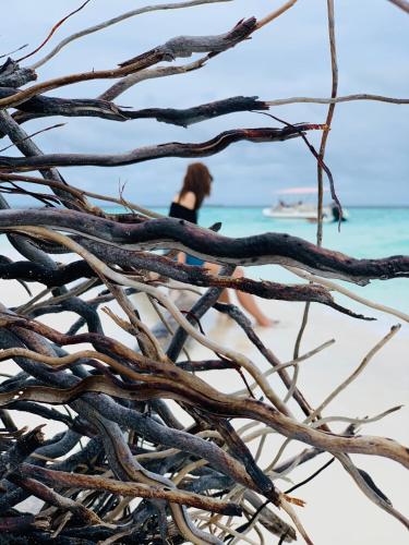 a woman walking on the beach through a pile of tree branches at Hudhuvelimaldives in Omadhoo