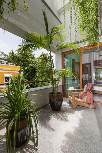 a patio with plants and a couch and a chair at La Villa in Puducherry