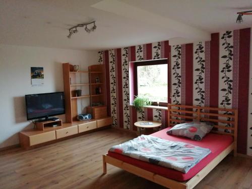 a bedroom with a bed and a television in it at Moderne ganze Ferienwohnung 1km zum FunPark und nur 15 Minuten nach Nürnberg in Zirndorf