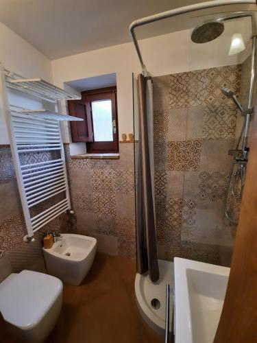 een badkamer met een douche, een toilet en een wastafel bij Picchio&Pinocchio Guest House in Sulmona