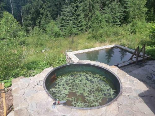 a large pool of water with a plant in it at Khatky Na Penkakh in Vorokhta