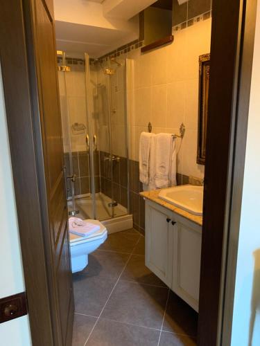 a bathroom with a toilet and a shower and a sink at Harmony Butik Otel in Alanya