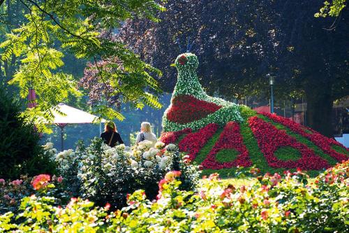 a dress made out of flowers in a garden at Maisonette am Belchen in Bad Krozingen