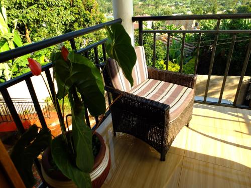 a chair and a potted plant on a balcony at Enjivai Hostel in Arusha