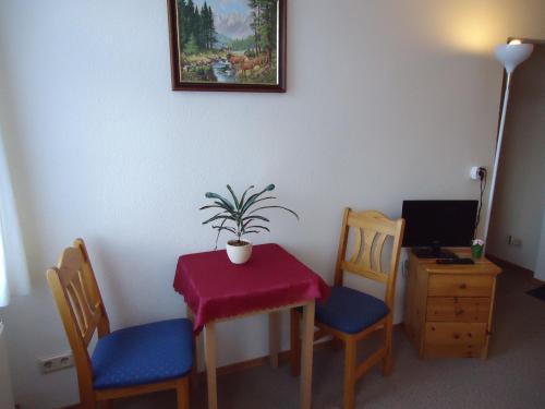 a table and chairs with a potted plant on it at Pension Thaler Hof in Thale
