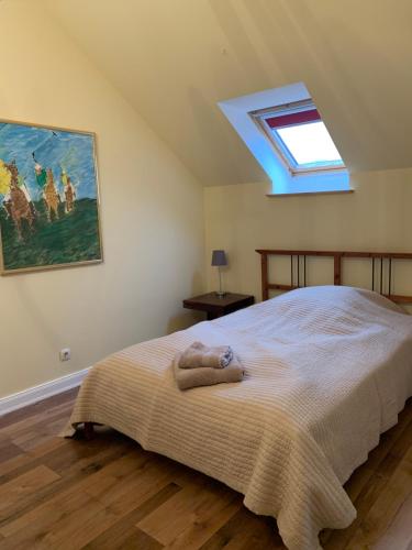 Un pat sau paturi într-o cameră la Gut Aspern Polohof