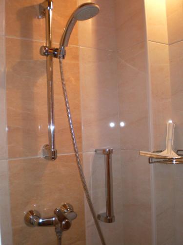 a shower with a shower head in a bathroom at Haus Bergfried in Trins