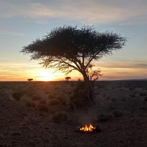 Amanecer o atardecer desde el lodge o alrededores