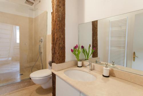 パリにあるグレゴワール アパルトマンのバスルーム(洗面台、トイレ、鏡付)